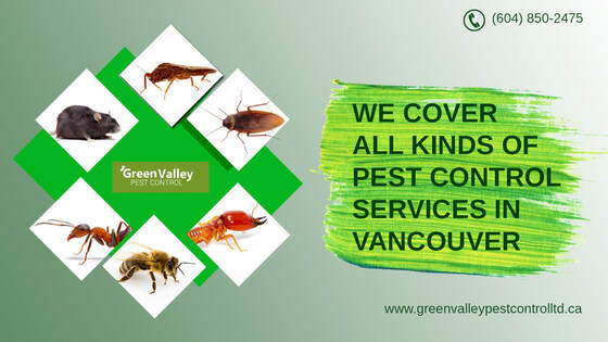 pest control service provider