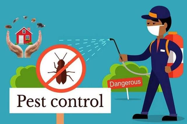 pest control service