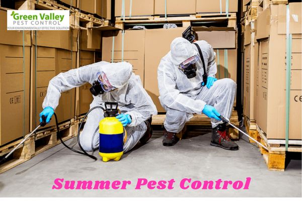 Summer pest control